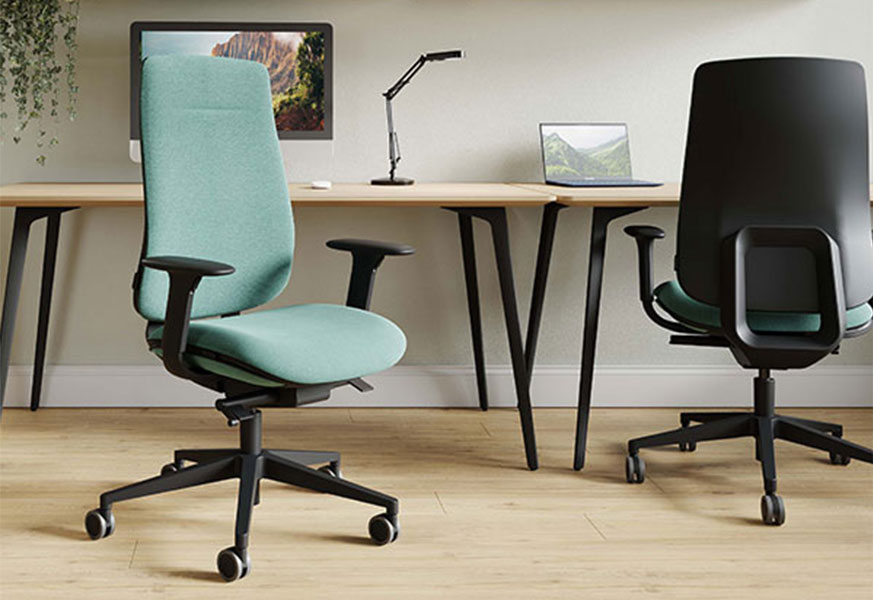 Fauteuil Ergonomique Pro